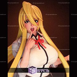 Shizuka Marikawa V2 STL Files