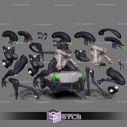 Xenomorph Alien Female Sexy STL Files