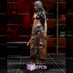 Zahiri Warrior Fanart STL Files
