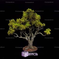 Dark Oak Forest The Lazy Forger Miniatures