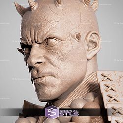 Darth Maul Samurai Portrait Bust STL Files