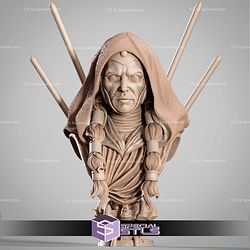 Darth Traya Portrait Bust STL Files