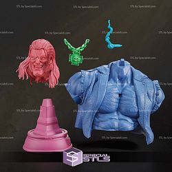 Lobo at Bar Bust STL Files