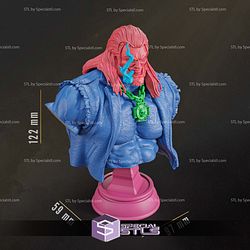 Lobo at Bar Bust STL Files