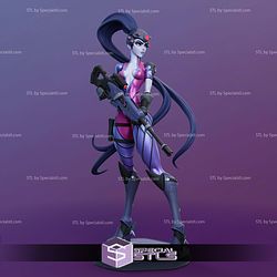Widowmaker Armor and Gun STL Files