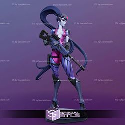Widowmaker Armor and Gun STL Files
