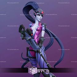 Widowmaker Armor and Gun STL Files