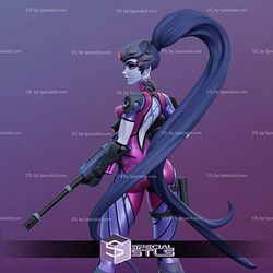 Widowmaker Armor and Gun STL Files