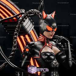 Catwoman Vampire Hunter STL Files