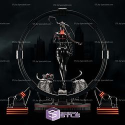 Catwoman Vampire Hunter STL Files