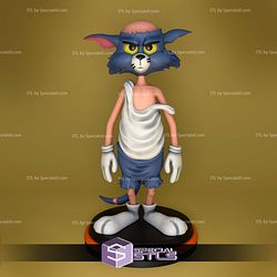 Tom Tattered STL Files
