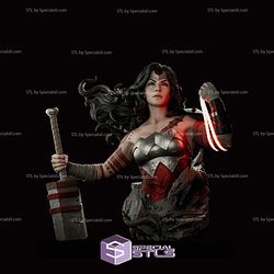 Absolute Wonder Woman Bust STL Files