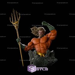 Aquaman King of Depths Bust STL Files