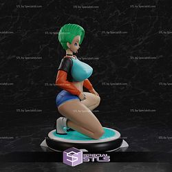 Bulma Adult NSFW Style STL Files