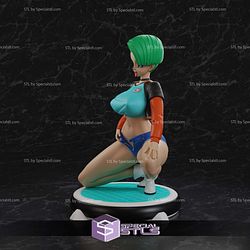 Bulma Adult NSFW Style STL Files