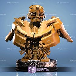 BumbleBee Bust 1-20 STL Files