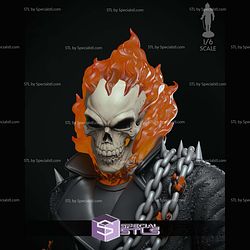 Ghost Rider with Chain Walking STL Files