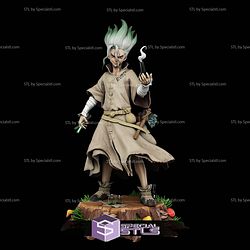 Senku Ishigami Standalone STL Files