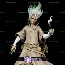 Senku Ishigami Standalone STL Files