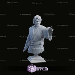Anakin Skywalker Bust on Base STL Files