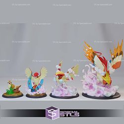 Basic Pokemon Pidgey Pidgeotto Pidgeot Mega Pidgeot