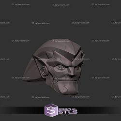 Cosplay STL Files Seel Clan Helmet
