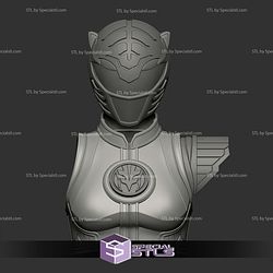 Cosplay STL Files White Ranger Female Armor