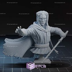 Darth Nihilus Old Republic Bust STL Files