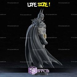 Life Size Absolute Batman STL Files