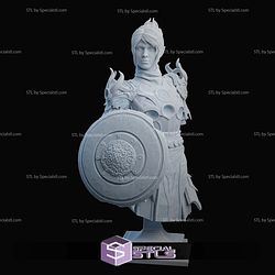 Shadowheart Baldurs Gate 3 and Shield Bust STL Files