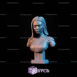 Simple STL Collection - Alita Bust