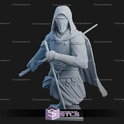 Darth Revan Old Republic Bust Sculptures
