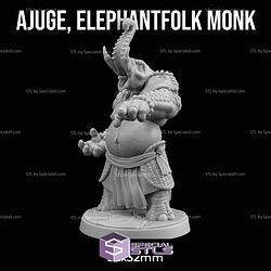 April 2025 The Dragon Trappers Lodge Miniatures