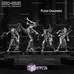 March 2025 Heroes Infinite Miniatures