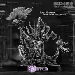 March 2025 Heroes Infinite Miniatures
