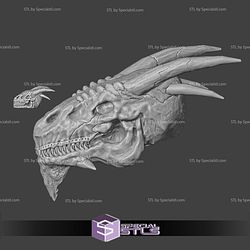 May 2025 Dragon Workshop Miniatures