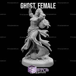 May 2025 Dungeon Classics Miniatures