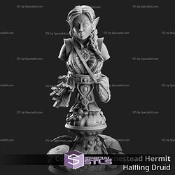 May 2025 Dungeon Masters Stash Miniatures