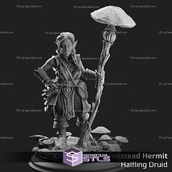 May 2025 Dungeon Masters Stash Miniatures