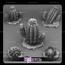May 2025 Fantastic Plants and Rocks Miniatures