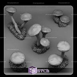 May 2025 Fantastic Plants and Rocks Miniatures