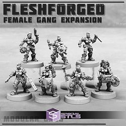 May 2025 Print Minis Miniatures