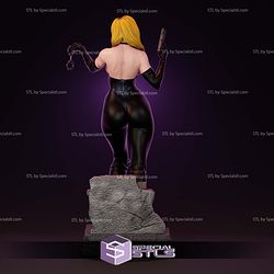 Barb Wire Movie STL Files