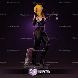 Barb Wire Movie STL Files