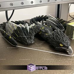 Basic STL Collection Phoenix