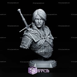 Ciri The Witcher 4 Bust STL Files