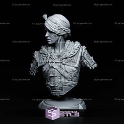 Ciri The Witcher 4 Bust STL Files