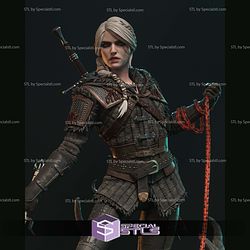 Ciri The Witcher 4 STL Files