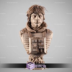 Luke Skywalker Pilot Portrait Bust STL Files