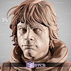 Luke Skywalker Pilot Portrait Bust STL Files